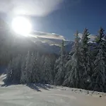 Ellmer Lejlighed Flachau